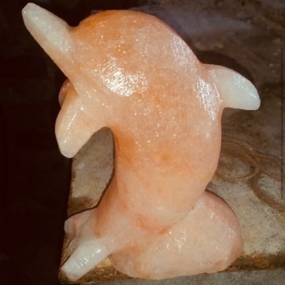 Pure Himalayan Salt Lamp